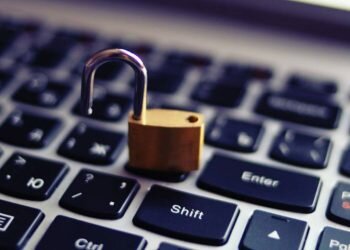 Perlu Kerjasama Pemerintah dan Publik untuk Hindari Kebocoran Data Pribadi