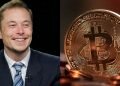 Elon Musk Bilang Bitcoin Bisa Dipakai Beli Tesla Lagi