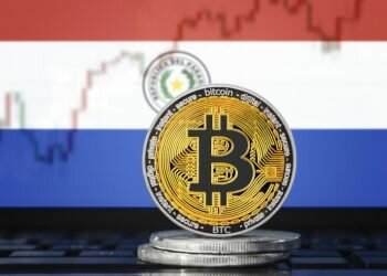 Paraguay Menjadi Negara Selanjutnya Resmikan Bitcoin Sebagai Mata Uang