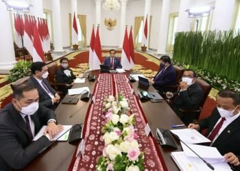 Hadiri WEF, Jokowi Paparkan Strategi Wujudkan Ekonomi Hijau di Indonesia