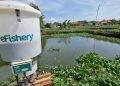 Digadang Jadi Unicorn, Startup Perikanan eFishery Raih Investasi