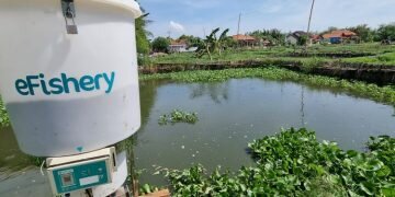 Digadang Jadi Unicorn, Startup Perikanan eFishery Raih Investasi